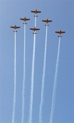 Quê nhà tổ chức lễ tưởng nhớ Michael Jackson - 1