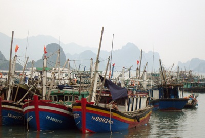 Sau bão số 4, lo lũ và sạt lở - 2