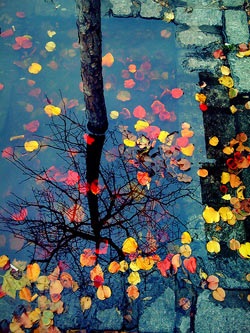 Bí kíp chụp ảnh “đẹp như mơ” từ iPhone - 3