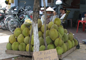 Nông dân than trời vì trái cây đặc sản rớt giá - 1 Nông dân than trời vì trái cây đặc sản rớt giá - 1