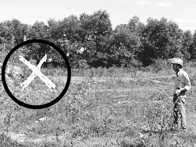 Vụ chôn cả tấn thuốc trừ sâu ở bãi rác: Không phải là lần đầu - 1