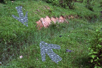 Lời “kêu cứu” của gần 3.000 ngôi mộ - 2 Lời “kêu cứu” của gần 3.000 ngôi mộ - 2