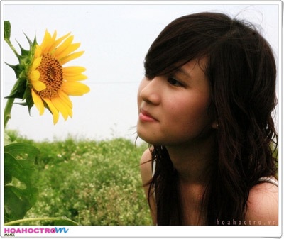 Khung hình “là lạ”, sau ngày mưa… - 4