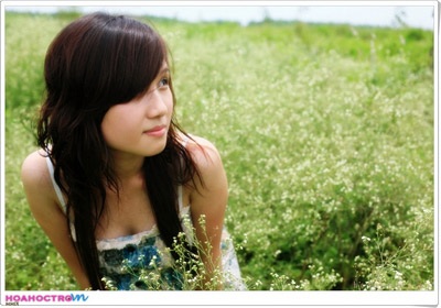 Khung hình “là lạ”, sau ngày mưa… - 1