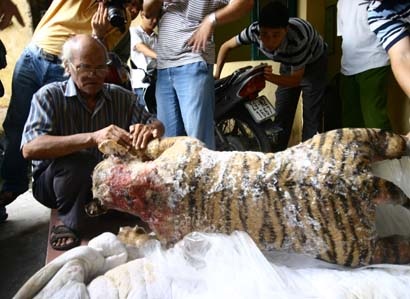 Bắt giữ taxi chở hổ đông lạnh tại Hà Nội - 2