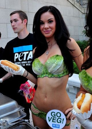 Chùm ảnh: Siêu mẫu diện bikini rau diếp - 3