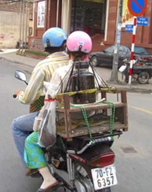 Trăm mối nguy từ “mốt ăn tươi nuốt sống” - 1 Trăm mối nguy từ “mốt ăn tươi nuốt sống” - 1