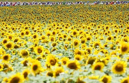 Những hình ảnh ấn tượng trong tuần  - 8