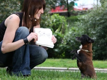 Dạy chó tập đọc - 1