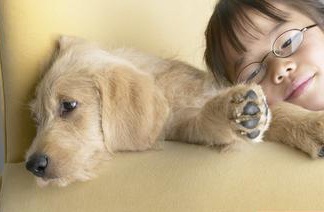 Lưu ý khi cho trẻ chơi với vật nuôi - 1