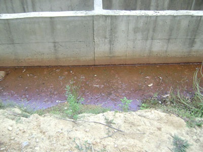 Sống ở nơi đốt nước giếng cũng… cháy - 2 Sống ở nơi đốt nước giếng cũng… cháy - 2