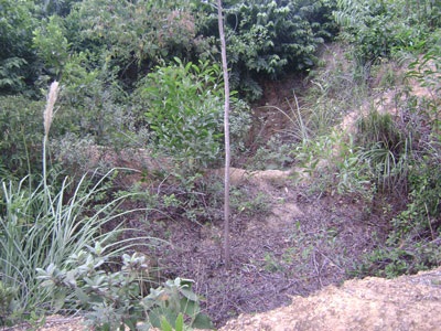 Sống ở nơi đốt nước giếng cũng… cháy - 1 Sống ở nơi đốt nước giếng cũng… cháy - 1