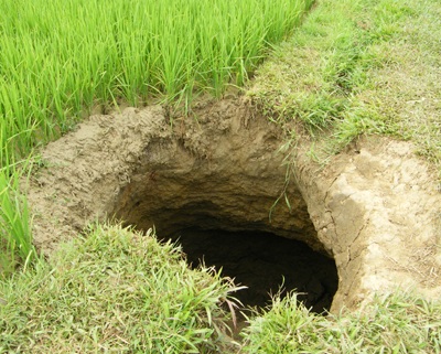 Dân hoang mang vì sụt đất nhằm ngày nhật thực - 2