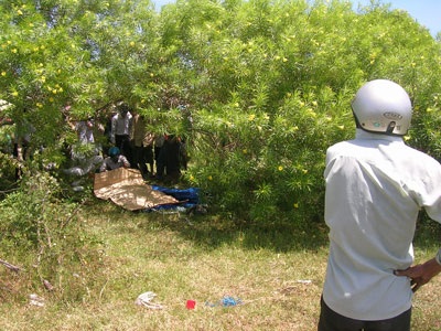 Xác chết nằm trong bụi cây cảnh - 1