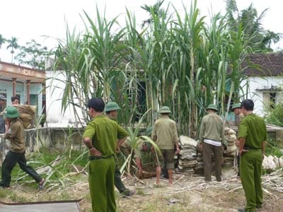 Dùng mắm tôm, trứng thối “tập kích” trạm gác mỏ quặng - 5