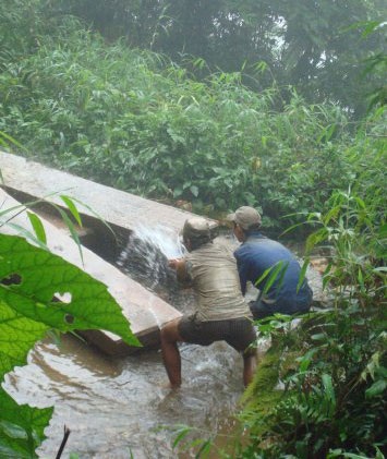 Xót xa nhìn rừng “chảy máu” - 9 Xót xa nhìn rừng “chảy máu” - 9