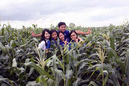 Hoa khôi tuổi teen “vào” phim tài liệu Mùa hè xanh - 7 Hoa khôi tuổi teen “vào” phim tài liệu Mùa hè xanh - 7