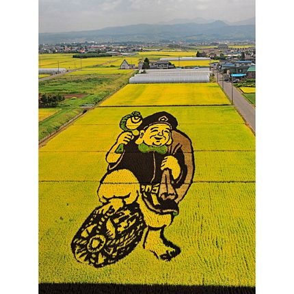 Những bức tranh độc đáo trên các cánh đồng lúa ở Nhật - 9 Những bức tranh độc đáo trên các cánh đồng lúa ở Nhật - 9