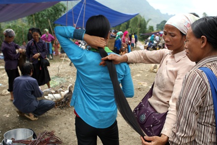 Chùm ảnh: “Hấp hối” những mái tóc thanh xuân - 6