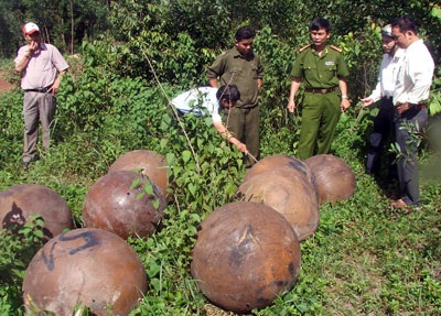 18 quả cầu lạ bị đổ trộm trong rừng tràm - 1