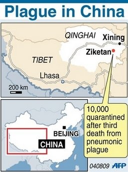 WHO: Dịch hạch thể phổi không thể gây tử vong hàng loạt - 1 WHO: Dịch hạch thể phổi không thể gây tử vong hàng loạt - 1