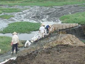 Phạt công ty vỡ hồ chứa nước thải hơn 100 triệu đồng - 1 Phạt công ty vỡ hồ chứa nước thải hơn 100 triệu đồng - 1