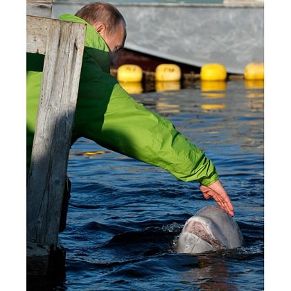 Vladimir Putin - Con người của hành động - 12