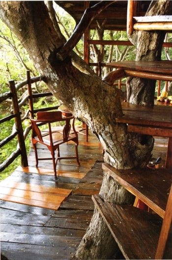 “Đột nhập” thế giới nhà trên cây - 2 “Đột nhập” thế giới nhà trên cây - 2