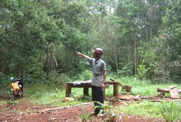 Luật sư đề nghị hoãn phiên tòa vì cáo trạng… lơ mơ - 1