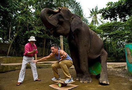 Gặp người đàn ông từng phá vỡ 236 kỷ lục Guinness - 3 Gặp người đàn ông từng phá vỡ 236 kỷ lục Guinness - 3