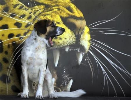 Những hình ảnh ấn tượng trong tuần - 10 Những hình ảnh ấn tượng trong tuần - 10