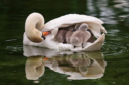 Những hình ảnh ấn tượng trong tuần - 2 Những hình ảnh ấn tượng trong tuần - 2