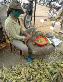 Sâu chít - “Đông trùng hạ thảo” Việt Nam - 1 Sâu chít - “Đông trùng hạ thảo” Việt Nam - 1