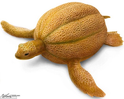 Khi động, thực vật… lai nhau - 10 Khi động, thực vật… lai nhau - 10