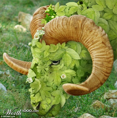 Khi động, thực vật… lai nhau - 8 Khi động, thực vật… lai nhau - 8