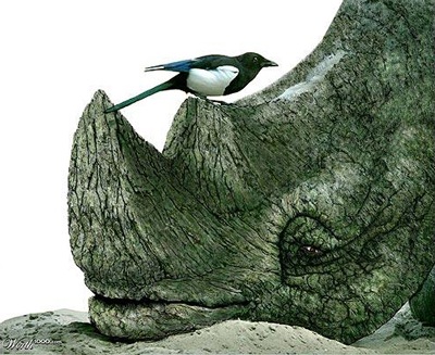 Khi động, thực vật… lai nhau - 2 Khi động, thực vật… lai nhau - 2