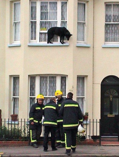 Chùm ảnh: Những sự cố “dở khóc, dở cười” - 4 Chùm ảnh: Những sự cố “dở khóc, dở cười” - 4