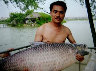 Săn “thủy quái” Hồ Tây - 2 Săn “thủy quái” Hồ Tây - 2