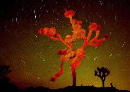 Chiêm ngưỡng mưa sao băng đẹp nhất trong năm - 10