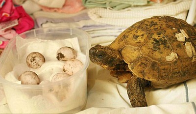 110 tuổi vẫn sinh con  - 2