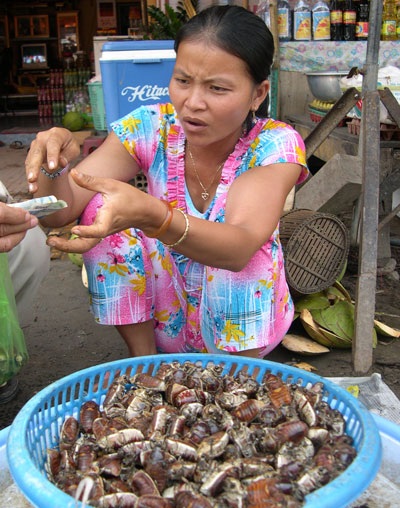 Về miền Tây ăn “đặc sản rợn người” - 2 Về miền Tây ăn “đặc sản rợn người” - 2