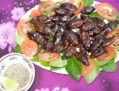 Về miền Tây ăn “đặc sản rợn người” - 1 Về miền Tây ăn “đặc sản rợn người” - 1