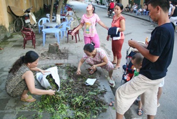 Những “trùng hợp lạ lùng” trong vụ mất trộm sưa - 2 Những “trùng hợp lạ lùng” trong vụ mất trộm sưa - 2