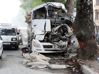 Xe tải hạng nặng “phanh” bằng gốc cây bên đường - 1