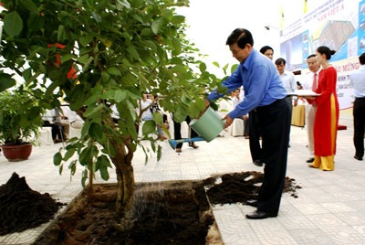 Chủ tịch nước Nguyễn Minh Triết thăm và làm việc tại Đà Nẵng - 1 Chủ tịch nước Nguyễn Minh Triết thăm và làm việc tại Đà Nẵng - 1