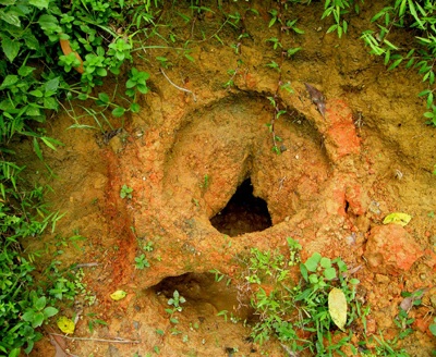 Những hầm lò bí ẩn ở thung lũng Huổi Chăng - 2