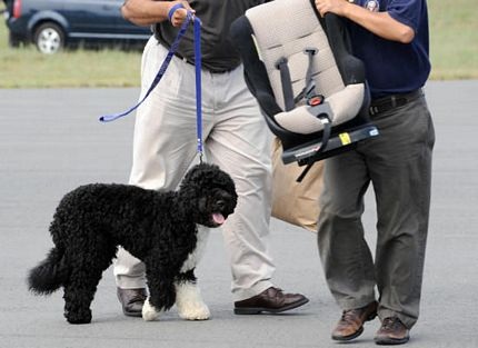 Chùm ảnh: Kỳ nghỉ hè của gia đình Tổng thống Mỹ  - 10