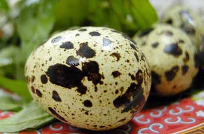 Trứng cút bổ dưỡng hơn trứng gà - 1