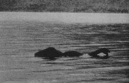 Những bằng chứng về quái vật hồ Loch Ness - 6 Những bằng chứng về quái vật hồ Loch Ness - 6