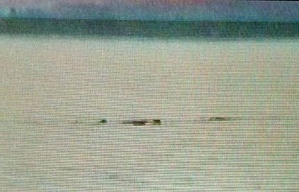 Những bằng chứng về quái vật hồ Loch Ness - 3 Những bằng chứng về quái vật hồ Loch Ness - 3